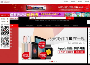 商城型案例(1号店)3994