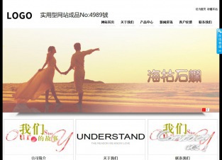 实用型成品案例站No:4989