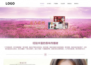 响应式成品案例站No:813