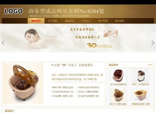 商务型成品案例站No:8284