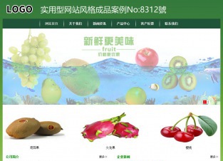 实用型成品案例站No:8312