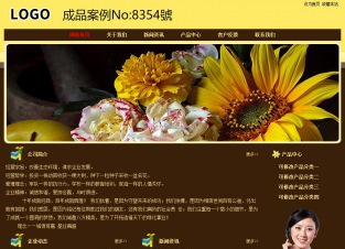 经济型成品案例No:8354