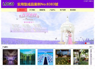 实用型成品案例站No:8383