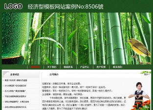 经济型成品案例No:8506