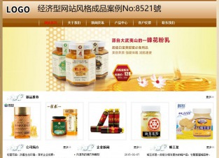 经济型成品案例No:8521