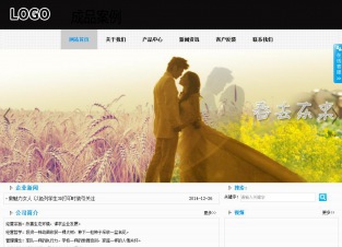 商务型成品案例站No:8553