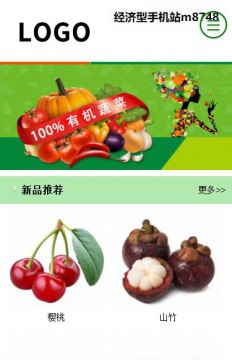 经济型手机成品案例站m8748