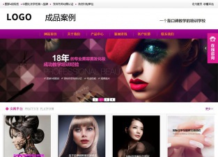 营销型成品案例站No:8852